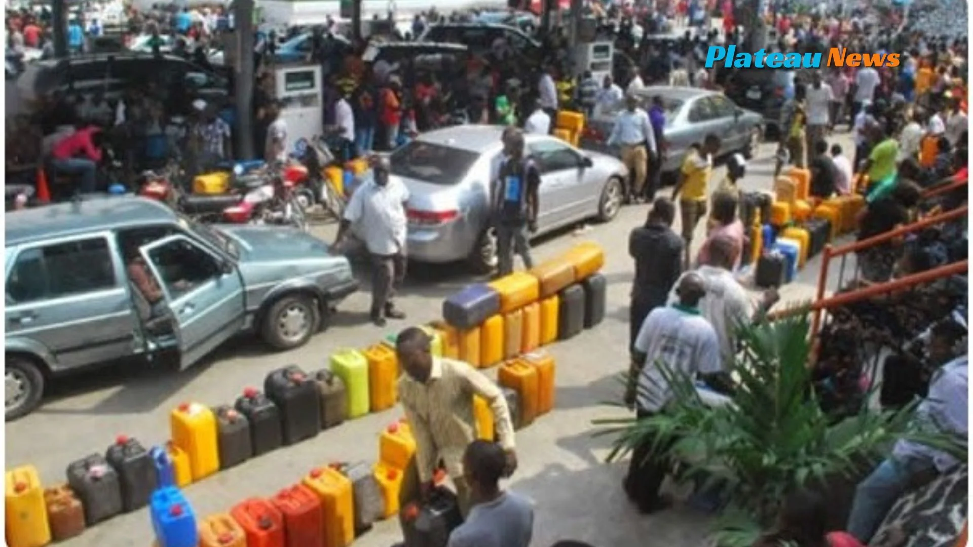 Fuel Scarcity Crisis: NANS Calls for Kyari's Removal