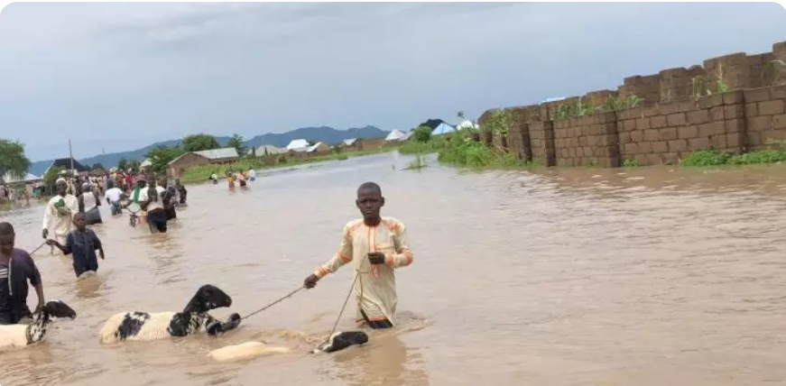 FULL LIST: 20 STATES RISK HEAVY FLOODING IN JULY