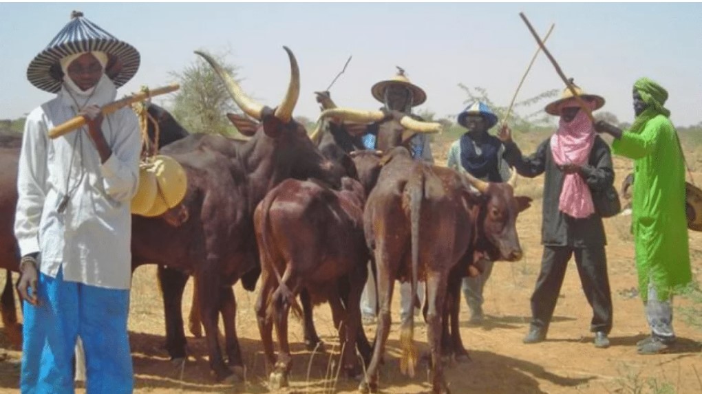 Fulani Forum gives conditions for peace in Plateau