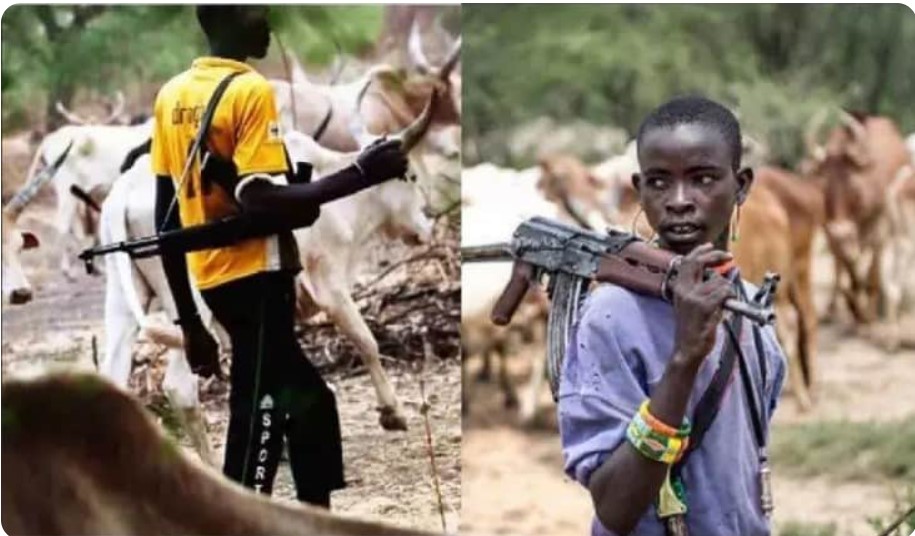 Fulani Leader Claims Over 1,000 Herders Killed in Plateau